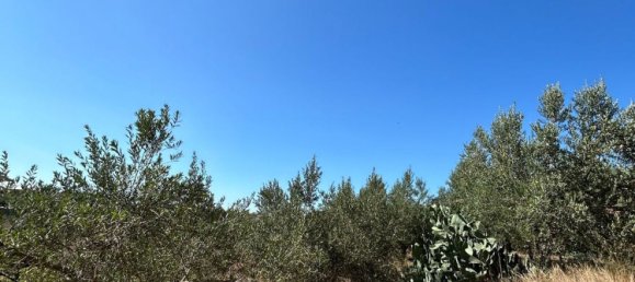 3 rooms House in Partinico, Italy No. 277954 7