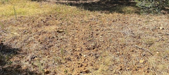 3 rooms House in Partinico, Italy No. 277954 5