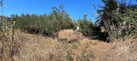 3 rooms House in Partinico, Italy No. 277954 11