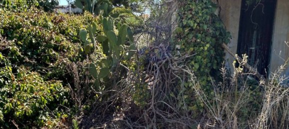 3 rooms House in Partinico, Italy No. 277954 16