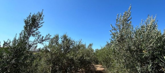 3 rooms House in Partinico, Italy No. 277954 6