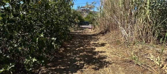 3 rooms House in Partinico, Italy No. 277954 13