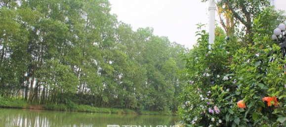 Вилла с 6 спальнями в Лонгбьен, Вьетнам № 836 29