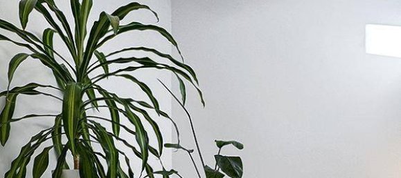 4-salle Maison de ville à Vienna, Austria No. 215965 9