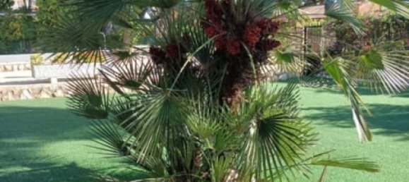 6 bedrooms House in Dehesa De Campoamor, Spain No. 185953 38