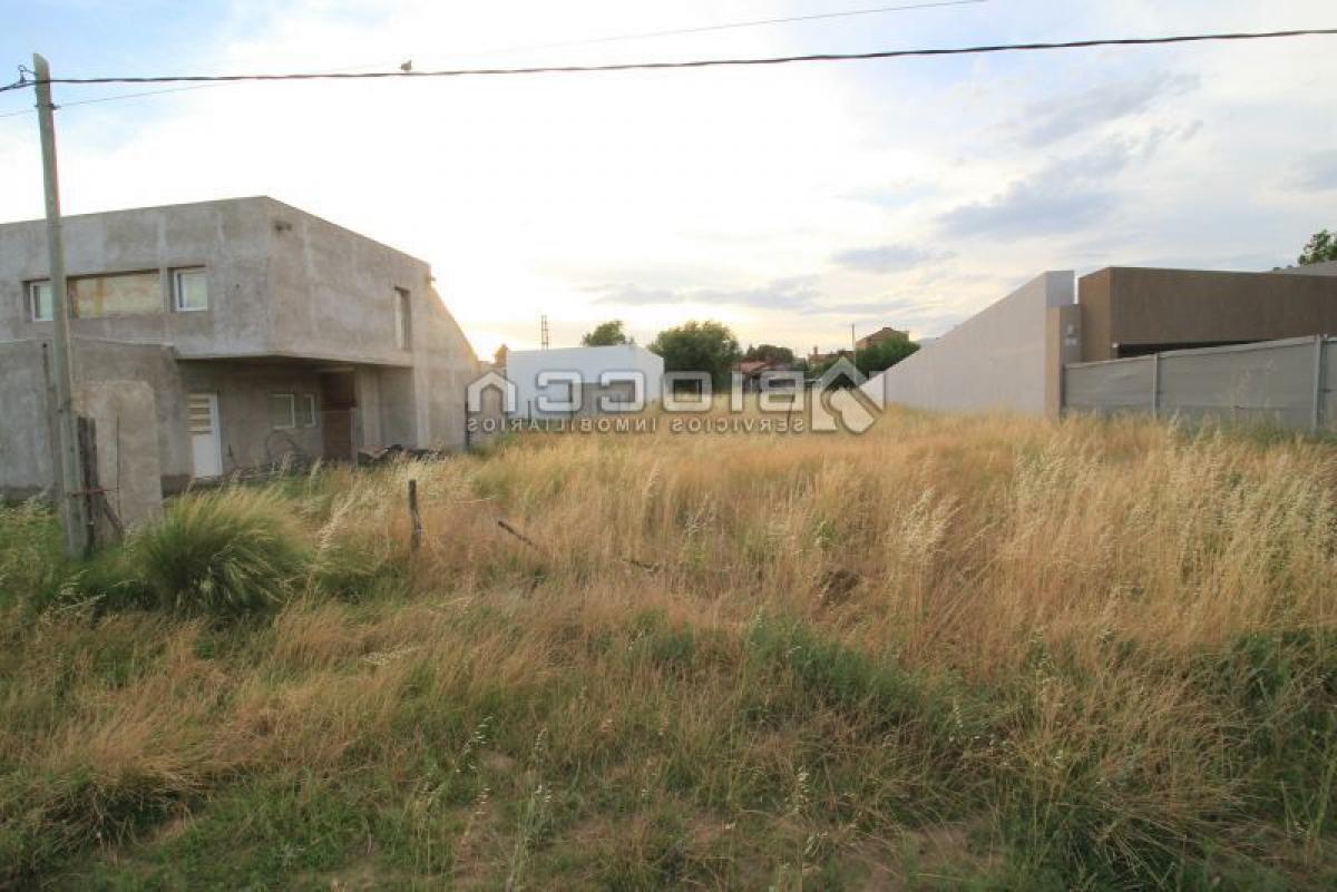  Land in Buenos Aires, Argentina No. 118567