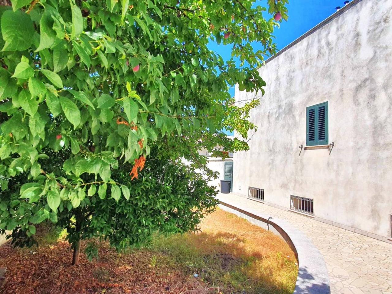 4غرفة فيلا في Diso, Italy رقم 24651