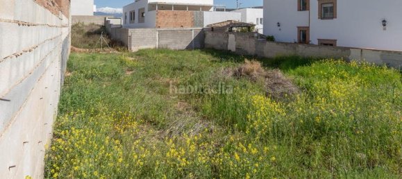 Земельный участок 318м² в Пелигрос, Испания № 175742 8