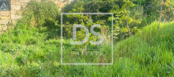 Земельный участок в Марку ди Канавезиш, Португалия № 78853 4