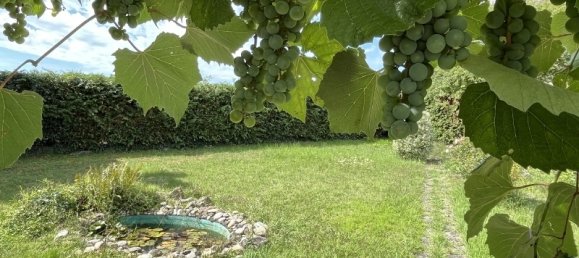 5-Zimmer Haus in Rhein-Neckar-Kreis, Germany, Nr. 328954 29