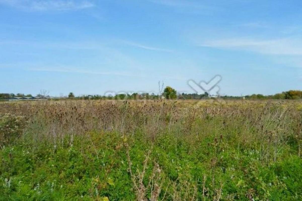  Land in Campo Creado, Argentina No. 36994