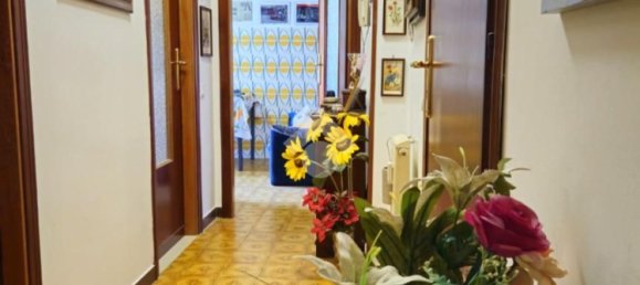 2 rooms Apartment in Santo Stefano al Mare, Italy No. 309702 5