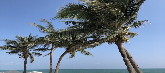 1 chambre Condo à Klaeng, Thailand No. 11904 27