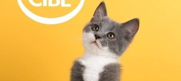 3 rooms Apartment in Rimini, Italy No. 36793 5