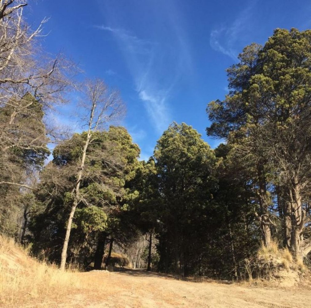 Grundstück in Neuquen, Argentina, Nr. 34764