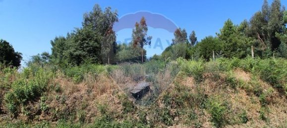 630m² Land in Tondela, Portugal No. 39427 2