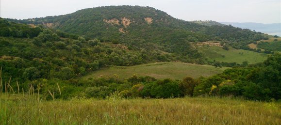 11300m² Hotel in Chalkidiki, Greece No. 7844 6