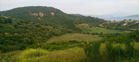 11300m² Hotel in Chalkidiki, Greece No. 7844 2