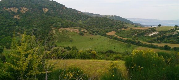 11300m² Hotel in Chalkidiki, Greece No. 7844 5