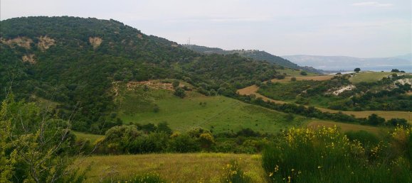 11300m² Hotel in Chalkidiki, Greece No. 7844 4