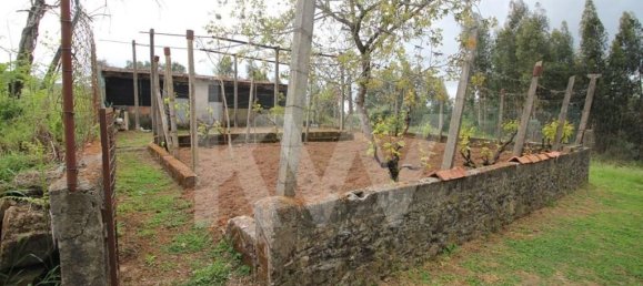 3 chambres Maison à Figueiro dos Vinhos, Portugal No. 77352 48