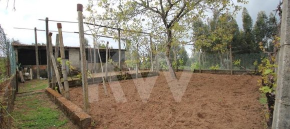 3 chambres Maison à Figueiro dos Vinhos, Portugal No. 77352 49