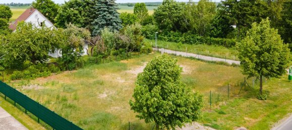  Land in Markisch-Oderland, Germany No. 364221 4