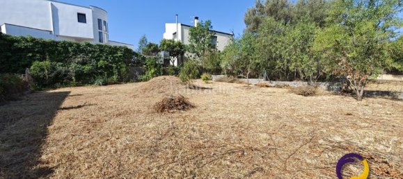 Земельный участок 400м² в Олердола, Испания № 162253 7