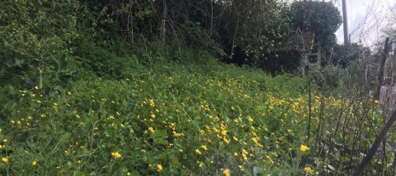 2 bedrooms House in Riberac, France No. 306833 9