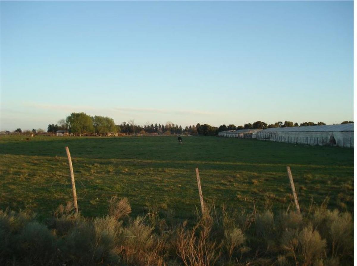  Land in Campo Creado, Argentina No. 112408