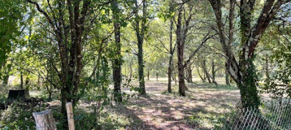 4 غرف نوم فيلا في Fronton, France رقم 194937 15