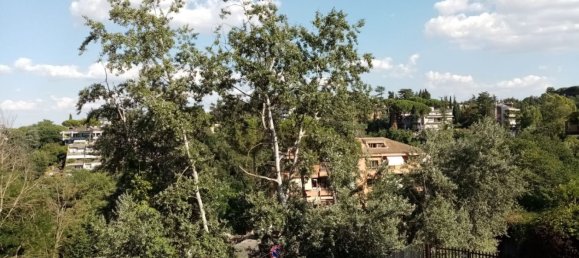 3-Zimmer Wohnung in Rome, Italy, Nr. 83752 15