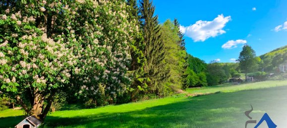 Moradia em banda T4 em Birkenfeld, Germany N.º 290284 8