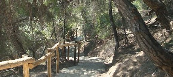 2000m² Townhouse in Chalkidiki, Greece No. 8141 13