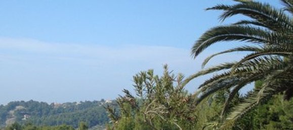 2000m² Townhouse in Chalkidiki, Greece No. 8141 12