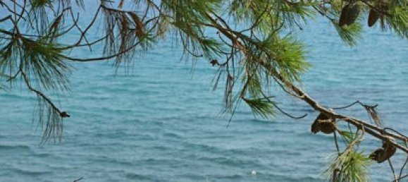 2000m² Townhouse in Chalkidiki, Greece No. 8141 14