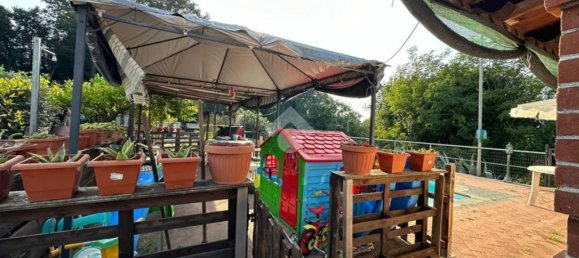 6 rooms Villa in Sarzana, Italy No. 157520 26