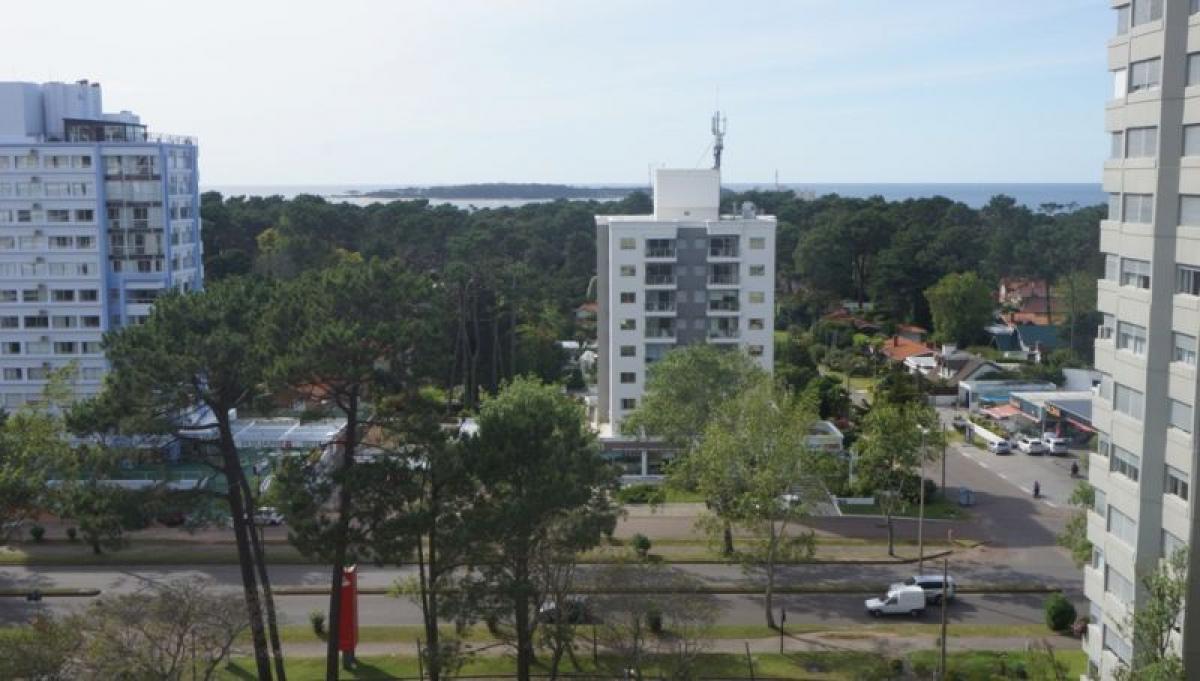 Квартира с 3 спальнями в Мальдонадо, Уругвай № 2334