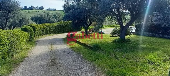 7 rooms House in Misano Adriatico, Italy No. 298988 27