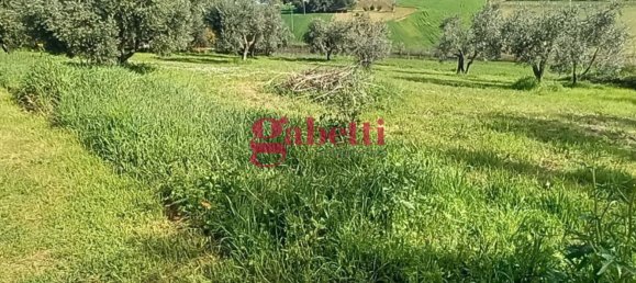 7 rooms House in Misano Adriatico, Italy No. 298988 28