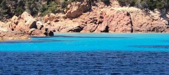 4-salle Appartement à Bonifacio, France No. 54966 4