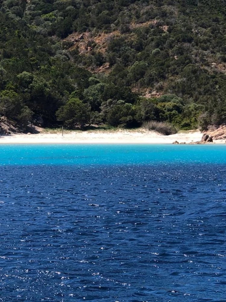 4-salle Appartement à Bonifacio, France No. 54966