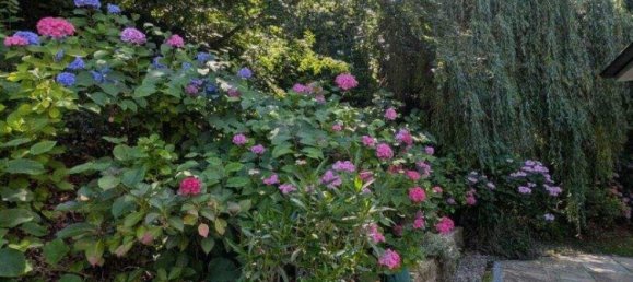 6غرفة فيلا في Eichgraben, Austria رقم 243301 39