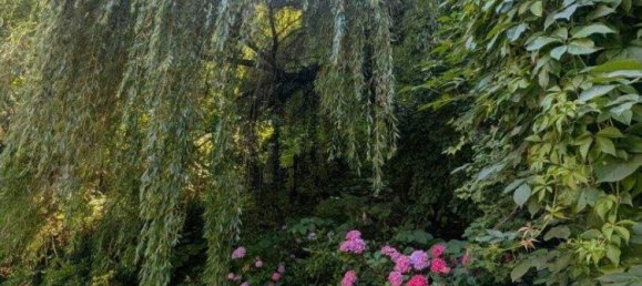 6غرفة فيلا في Eichgraben, Austria رقم 243301 38