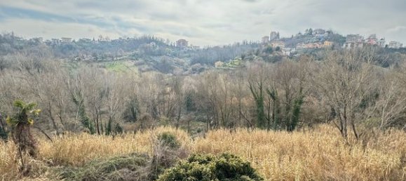 4غرفة شقة في Frosinone, Italy رقم 202708 24