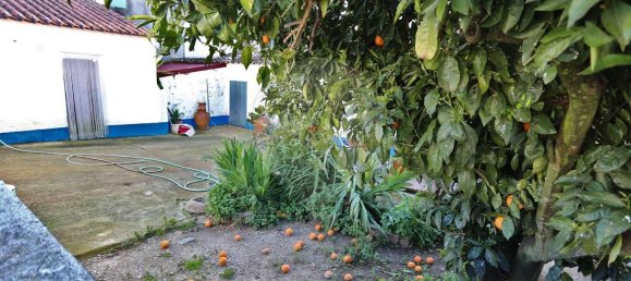 3 bedrooms House in Arraiolos, Portugal No. 31706 19