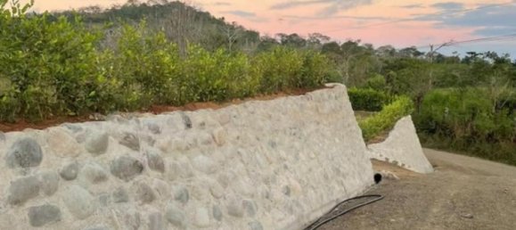 Land for sale in Puntarenas, Costa Rica № 1500 4