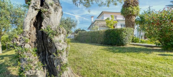 9 bedrooms House in Torres Novas, Portugal No. 49924 6