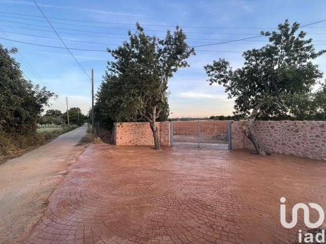  قطعة أرض في Inca, Spain 124905متر مربع رقم 293601