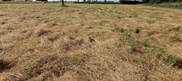 7 rooms House in Lugo, Italy No. 299523 41